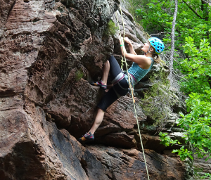 290 pixel image width