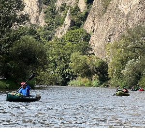 290 pixel image width