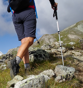 290 pixel image width