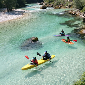 290 pixel image width