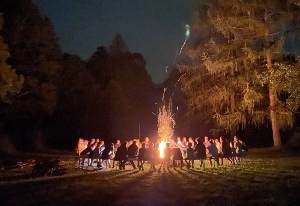 290 pixel image width