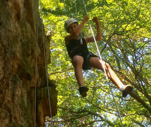 290 pixel image width