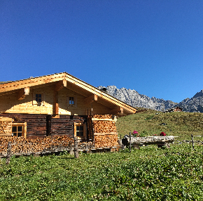 290 pixel image width