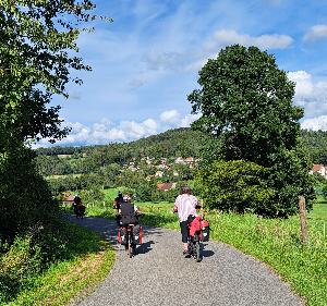 290 pixel image width