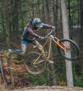 290 pixel image width