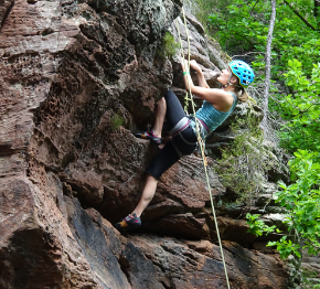 290 pixel image width