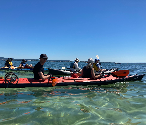 290 pixel image width