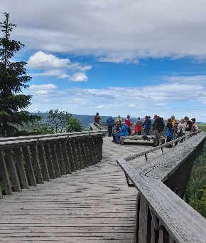 290 pixel image width