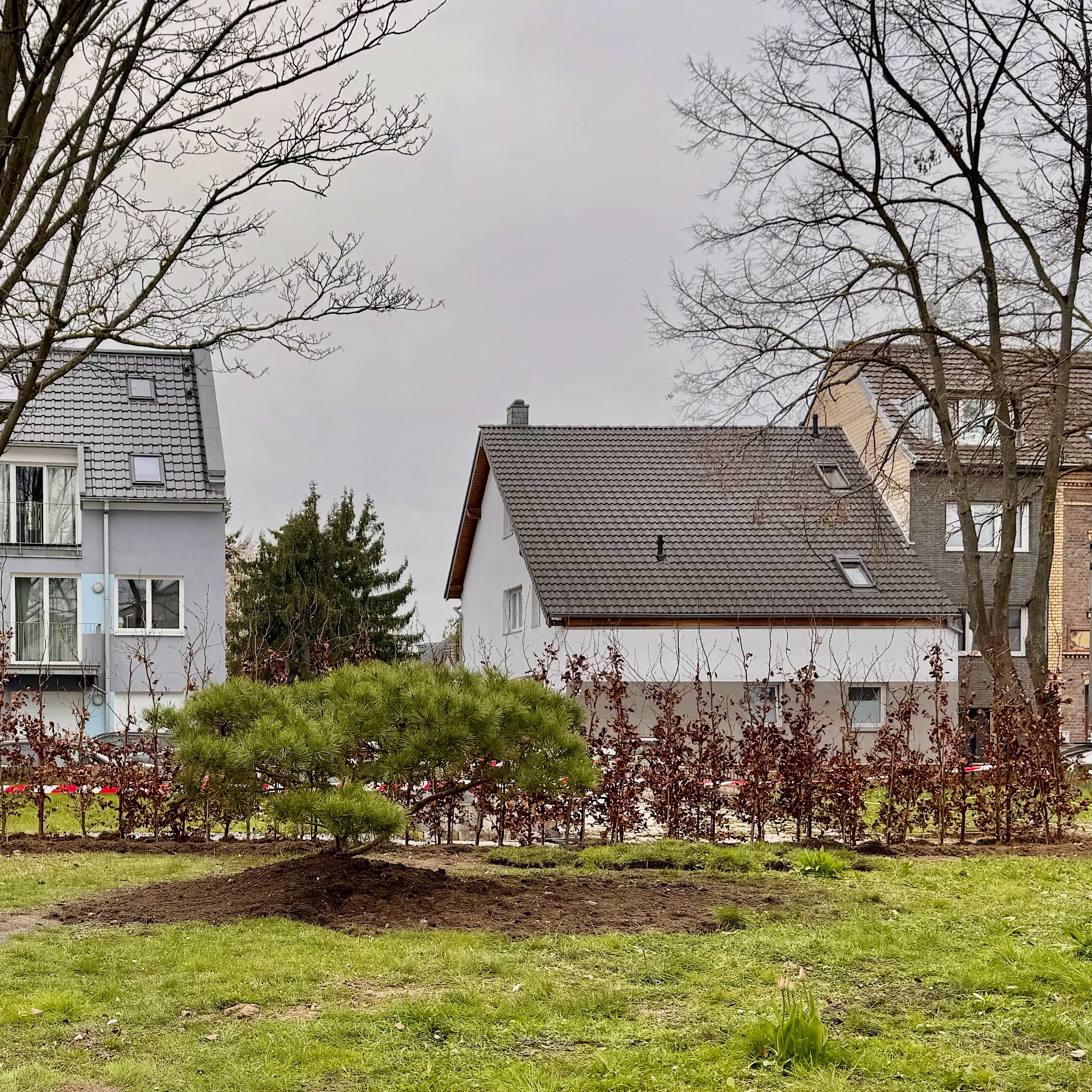 Auf einem flachen Hügel