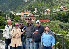 290 pixel image width