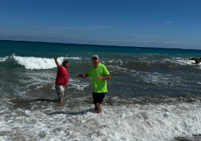 290 pixel image width