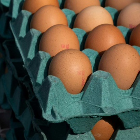 290 pixel image width