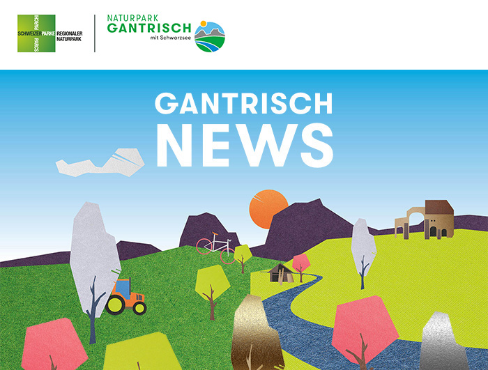 600 pixels wide image