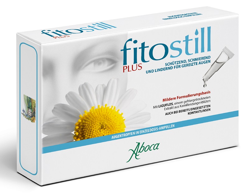 600 pixels wide image