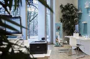 290 pixel image width