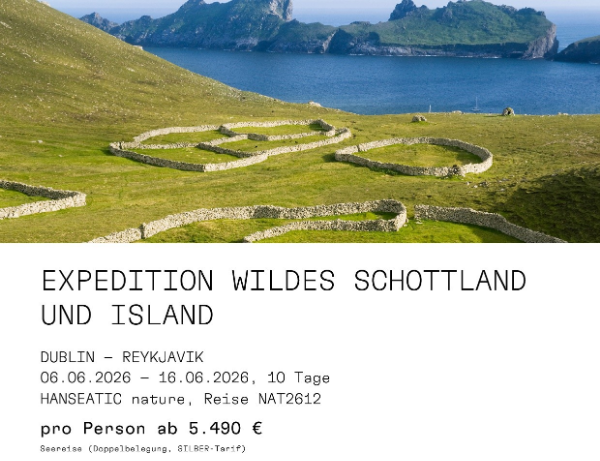 600 pixels wide image