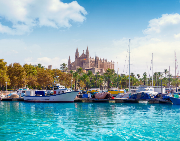 600 pixels wide image