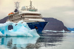 290 pixel image width