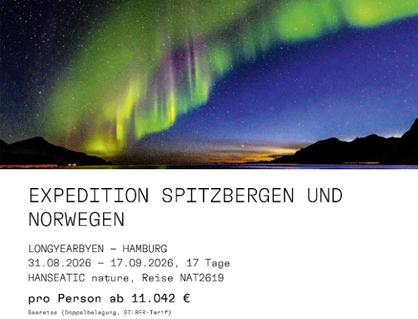 600 pixels wide image