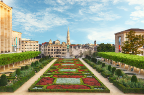 290 pixel image width