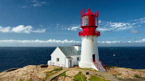 290 pixel image width