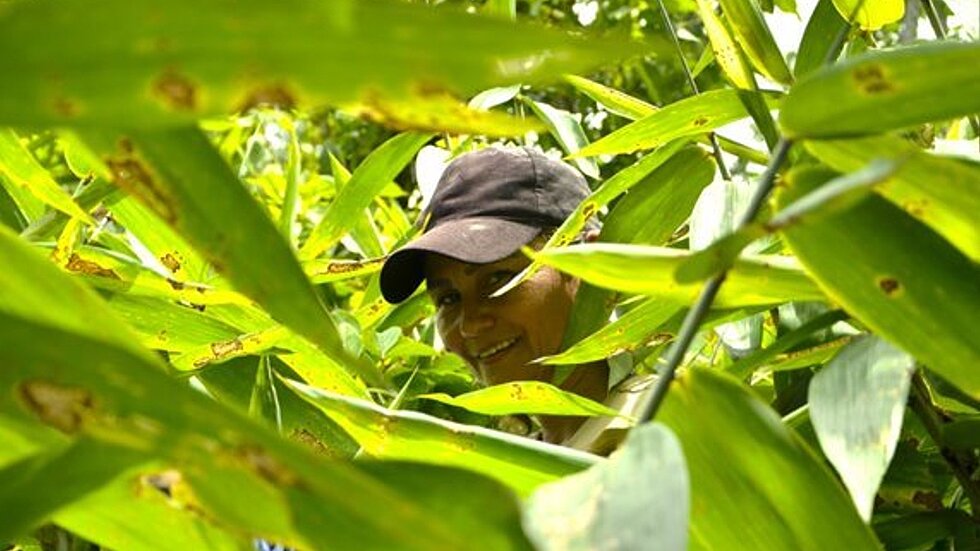 A person peeks out from behind a thicket of leaves.