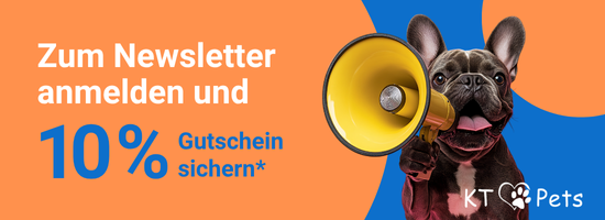 Newsletter-Anmeldung Pop-Up