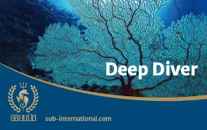 Kurs Deep Diver