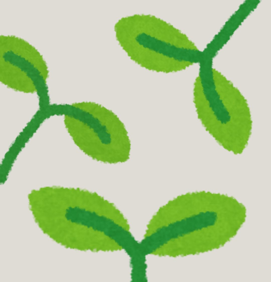Das Bild zeigt Illustrationen von jungen Pflanzen in grün, die aus unterschiedlichen Richtungen ins Bild wachsen. Der Hintergrund ist off-wite.