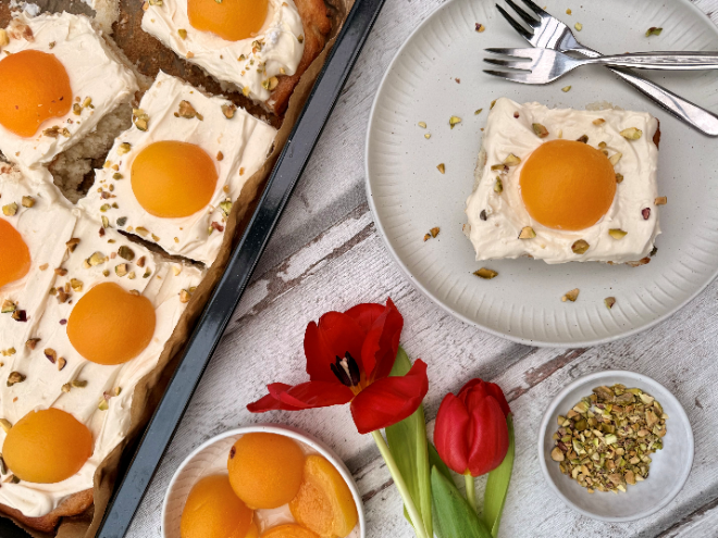Blechkuchen mit Aprikosenhälften und Creme, angerichtet auf Teller mit Tulpen und Pistazien.