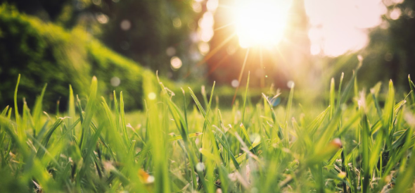 Newsletter Kulturlegi