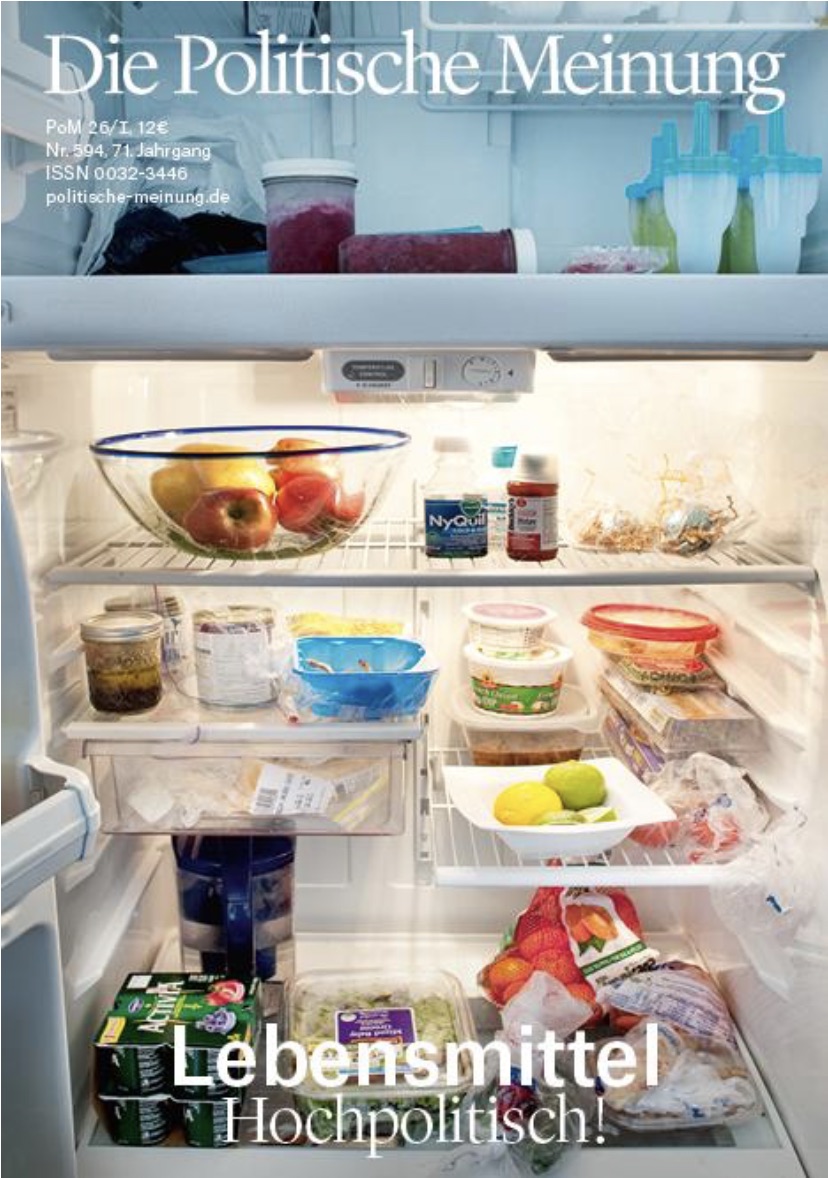 Die Politische Meinung
