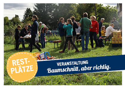 Apfelbaumschnittseminar auf der Obstanlage in Dresden Briesnitz
