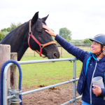 PM-Seminar Ingrid Klimke 