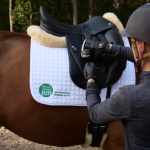 Reitsportzubehör 