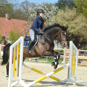 Springreiten
