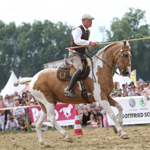 Working Equitation