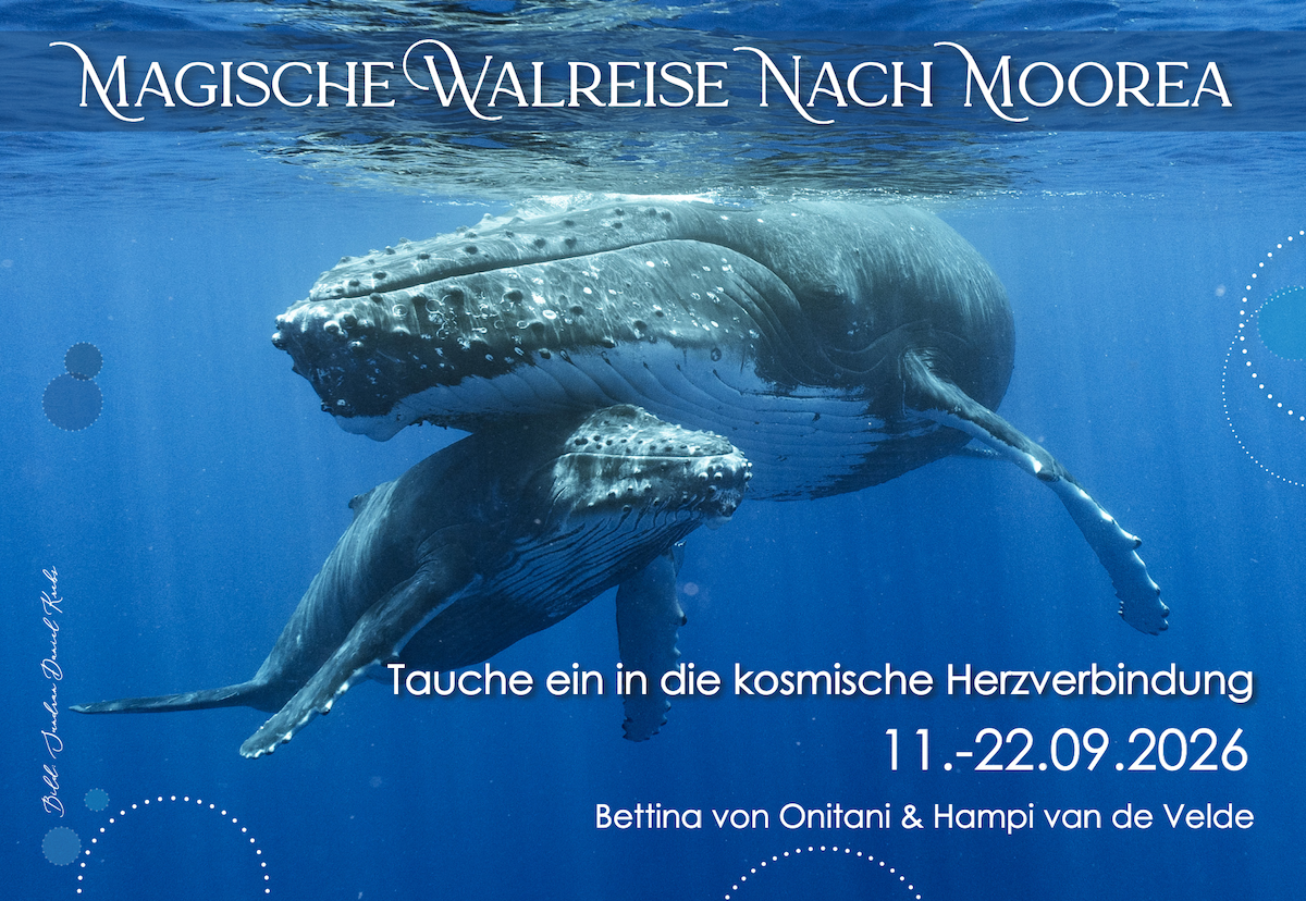 Die Reise der Reisen ...