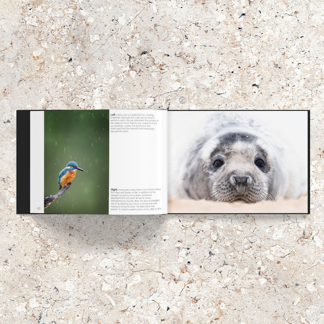A wildlife photo book with captions.