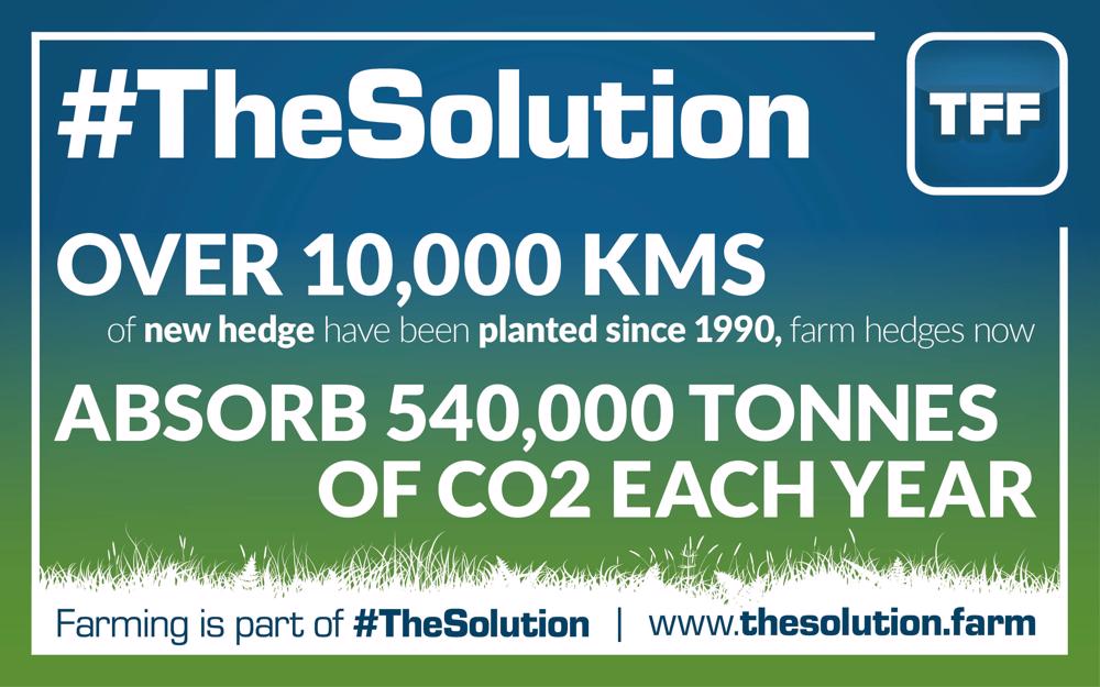 tff_TheSolution12-1000x625.jpg