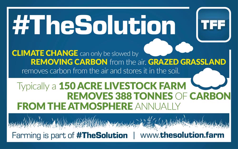 tff_TheSolution8-1000x625.jpg