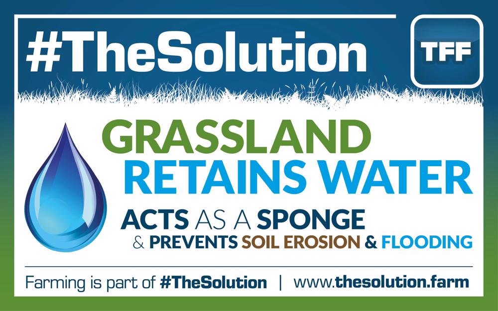 tff_TheSolution9-1000x625.jpg