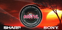 Promoción cámaras 600 tvl Promoción cámaras 600 TVL