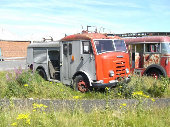 Commer Gamecock