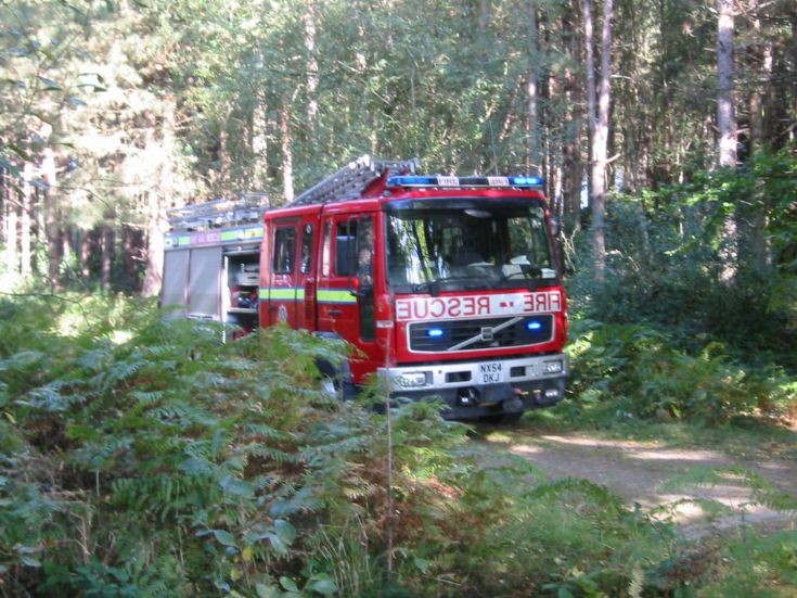 NYF&RS YORK 2nd PUMP IN THE WOODS