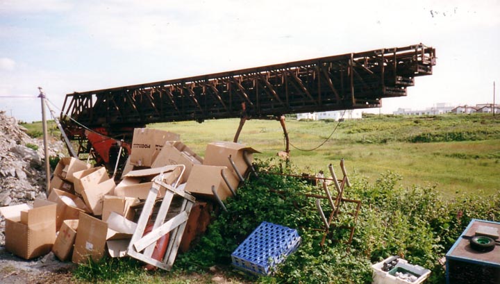 Turn Table Ladder