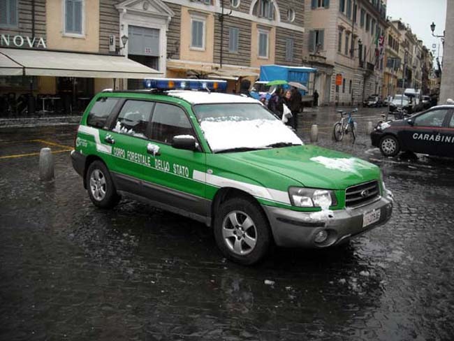 Staff car Corpo Forestale