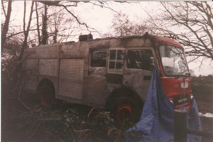 Old Bedford Tk HCB Angus