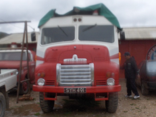 BEDFORD SYH 491 