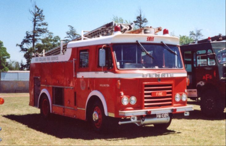New Zealand Dennis - HW4389